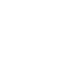 Discord icon